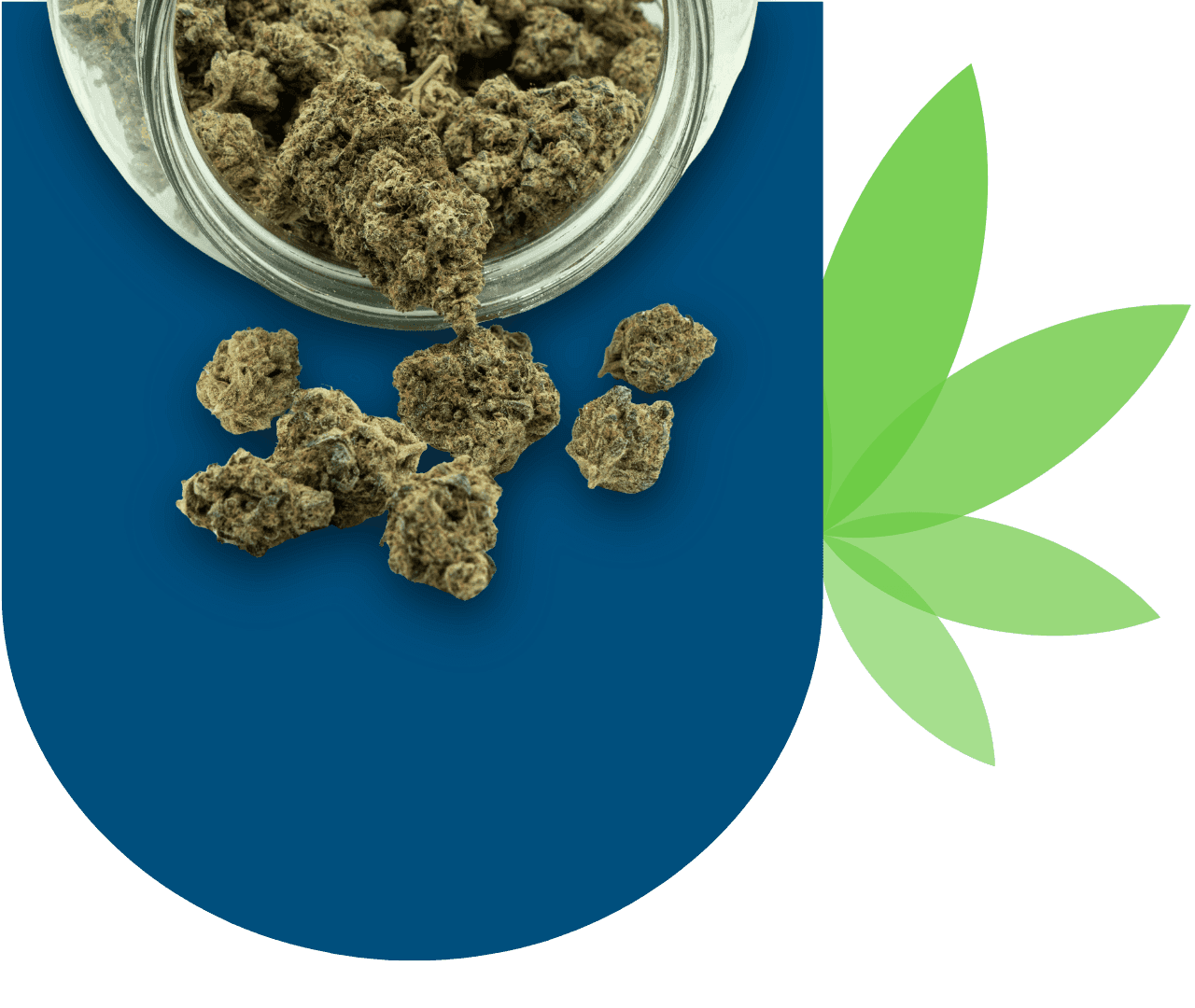 Cannabisblüten, die aus einem Glas rollen mit grafischen Elementen